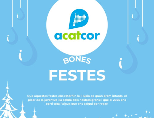 Bones Festes i feliç any 2025!